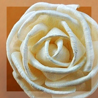Nature%20Creativity