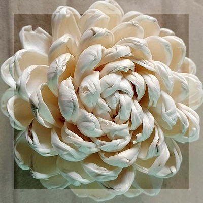 Nature%20Creativity