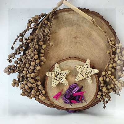 Nature%20Creativity
